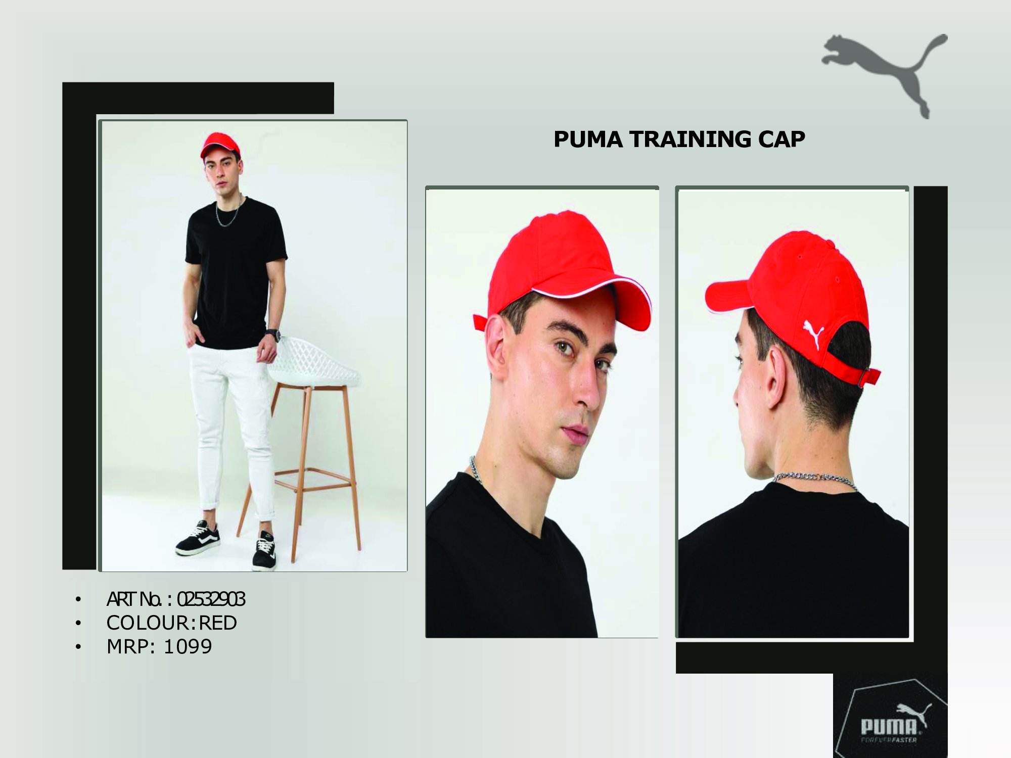 CGB1000 CGB-2026-PUMA-02532903 - Image 1