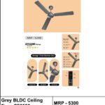 CGB-2026-RICO-003