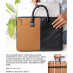 CGB -2026-BACK BENCHER-043